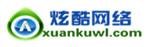 盧巖松 炫酷網絡科技有限公司