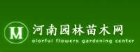徐杰 河南園林苗木網