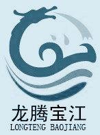 盧經理 新河縣寶江水工機械廠