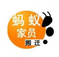 徐欣然 深圳螞蟻家員搬家有限公司
