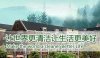 地毯清潔與護理