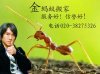 廣州金螞蟻搬家公司24小時愿為您提供優質的搬家服務！