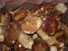 美味牛肝菌