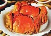 陽澄湖大閘蟹 上海朱記大閘蟹專賣店