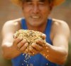長期供應(yīng)粉狀碳酸氫銨代理 寶豐農(nóng)化