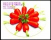 哪些食物有助護(hù)肝排毒