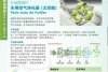 車載空氣凈化器