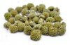 養生茶 西藏綠蘿花茶降血壓降血脂降血糖特級整朵促銷經濟實惠裝