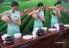 出倉鐵觀音烏龍茶
