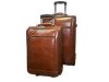 luggage bag