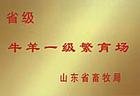 牛 羊 馬 驢 兔
