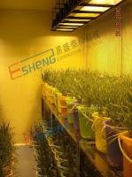 人工氣候室
