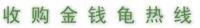 金錢龜 石金錢龜收購 價(jià)格市場—龜鱉信息供求