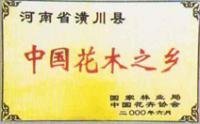 園林 園藝 綠化 花木