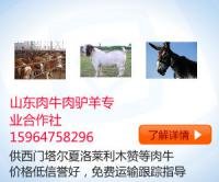肉羊價格