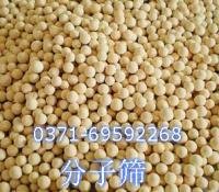 分子篩