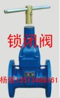 防盜式軟密封閘閥