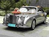行車安全