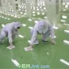 保潔