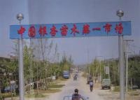綠化苗木
