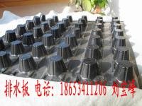 房屋排水板