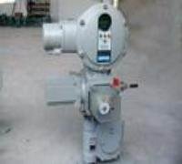 執(zhí)行器