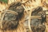 陽澄湖大閘蟹 大閘蟹