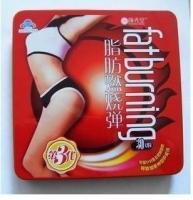 顏秀堂脂肪燃燒彈